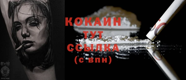 амф Корсаков