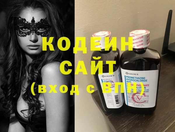 индика Краснослободск