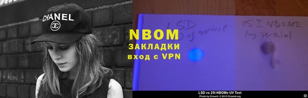 индика Краснослободск