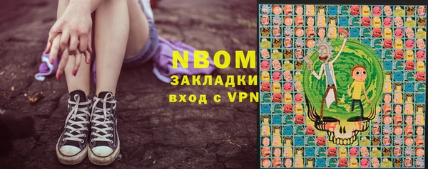 соль ск Козельск