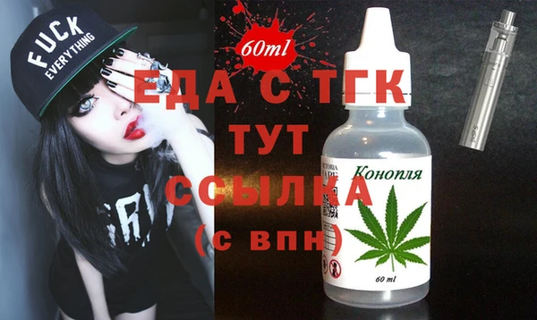 гидра Долгопрудный
