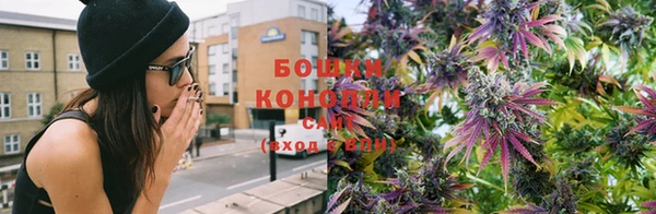 индика Краснослободск