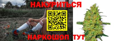 jwh Кингисепп