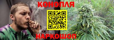 jwh Кингисепп
