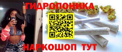 jwh Кингисепп