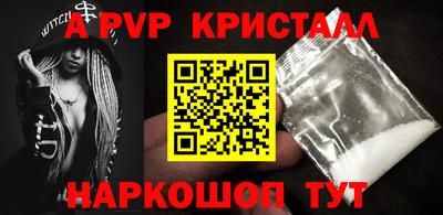 jwh Кингисепп