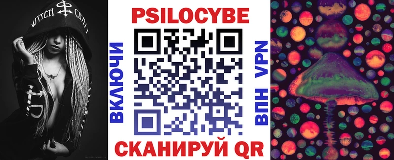 Псилоцибиновые грибы Cubensis  Сокол 