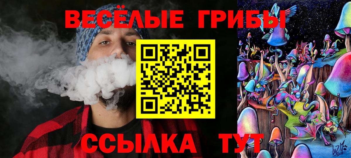 Галлюциногенные грибы Psilocybe Сокол